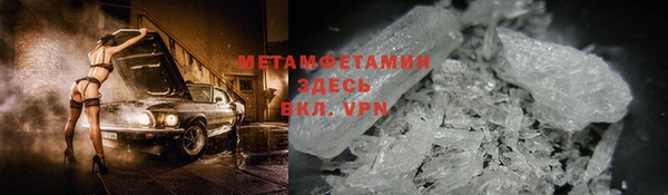 прущие грибы Алексин