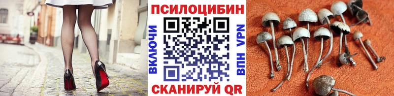 Галлюциногенные грибы MAGIC MUSHROOMS цена наркотик Малоархангельск